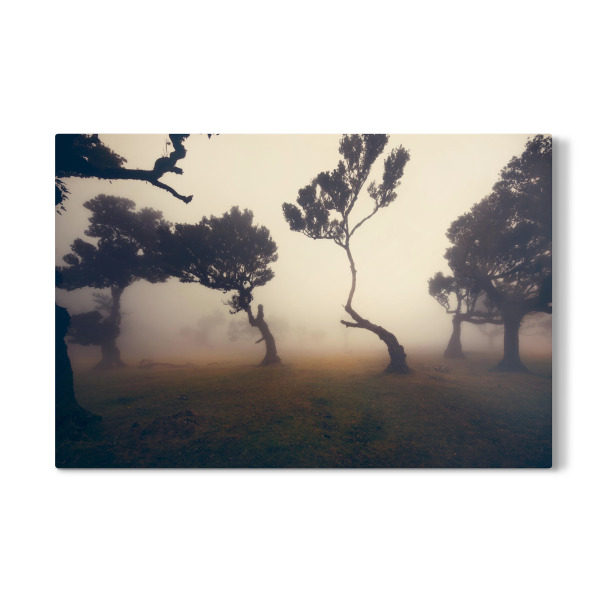 Galerie-Print "Fog days forest" 30x20 cm artboxONE
