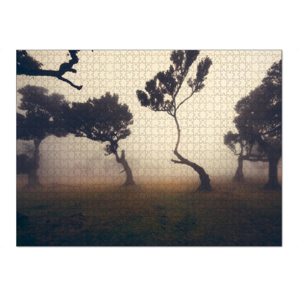 Puzzle Ravensburger "Fog days forest" artboxONE - Natur