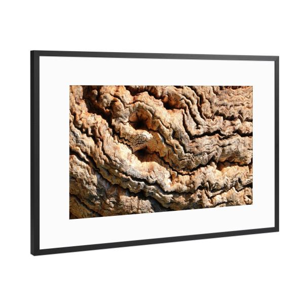 Poster mit Rahmen Schwarz (Metallic) "Baumrinde farbig" artboxONE - Natur,Abstrakt - Baumrinde,Rinde,Muster,Tree,Natur,Bark,Baum,Nature,Closeup