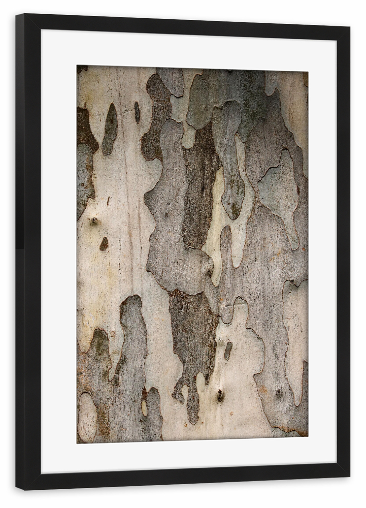 Poster mit Rahmen schwarz "Baumrinde Muster" artboxONE - Abstrakt - Baum,Rinde,Baumrinde,Muster,Tree,Nature,Natur,Forest,Bark,Closeup