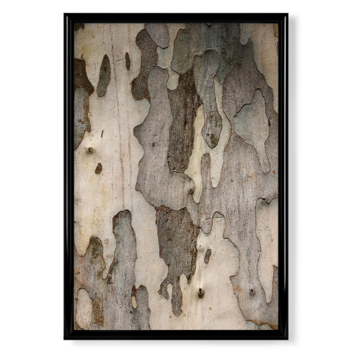 Tree Bark pattern