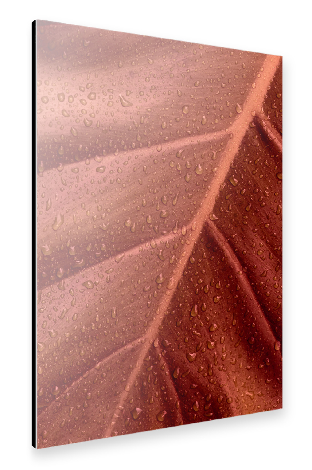 Alu-Dibond "Wet Brown Leaf" 30x20 cm artboxONE