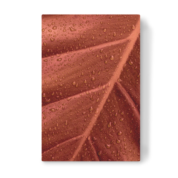 Leinwandbild "Wet Brown Leaf" artboxONE - Natur,Floral