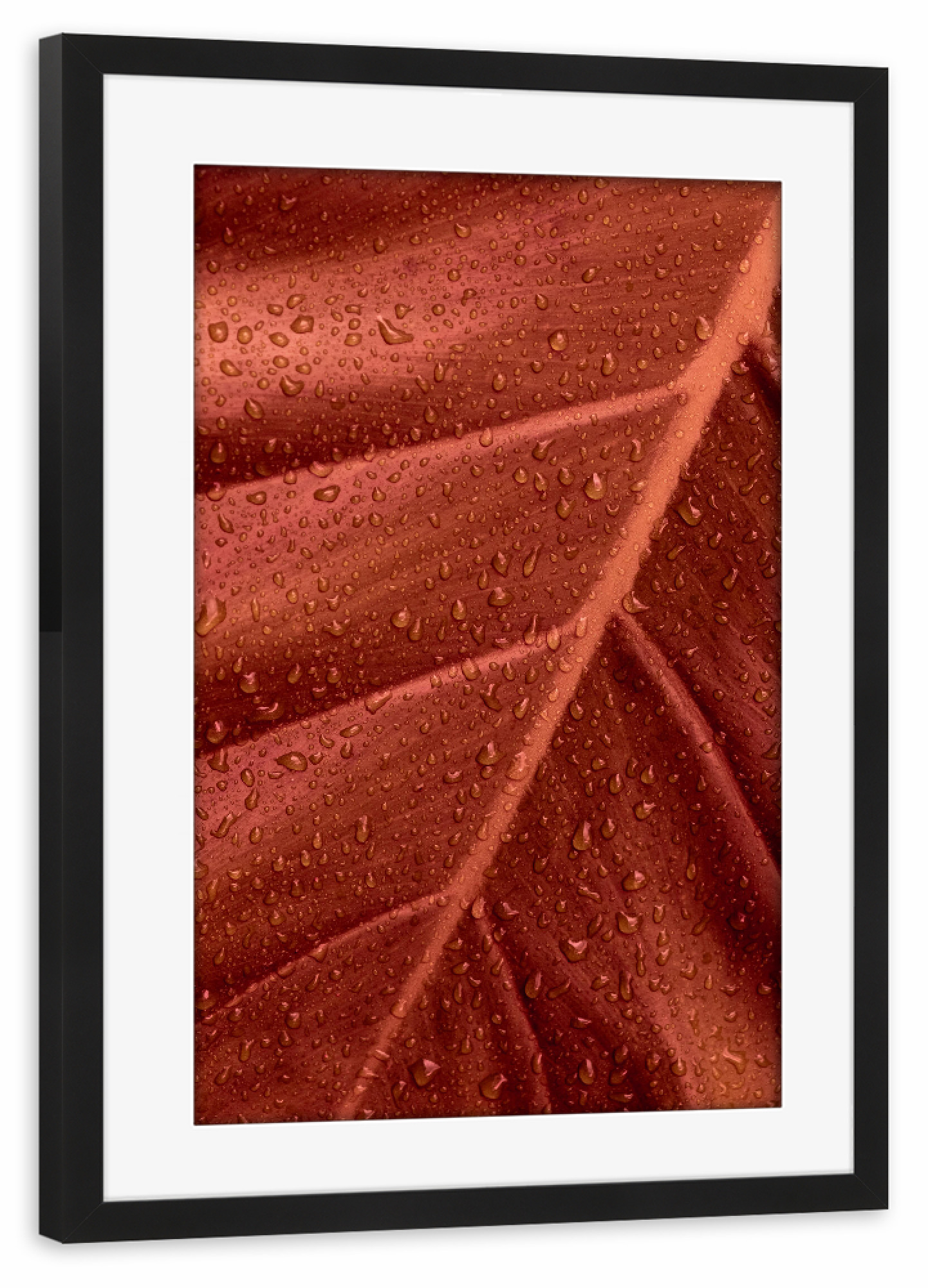 Poster mit Rahmen schwarz "Wet Brown Leaf" artboxONE - Natur,Floral