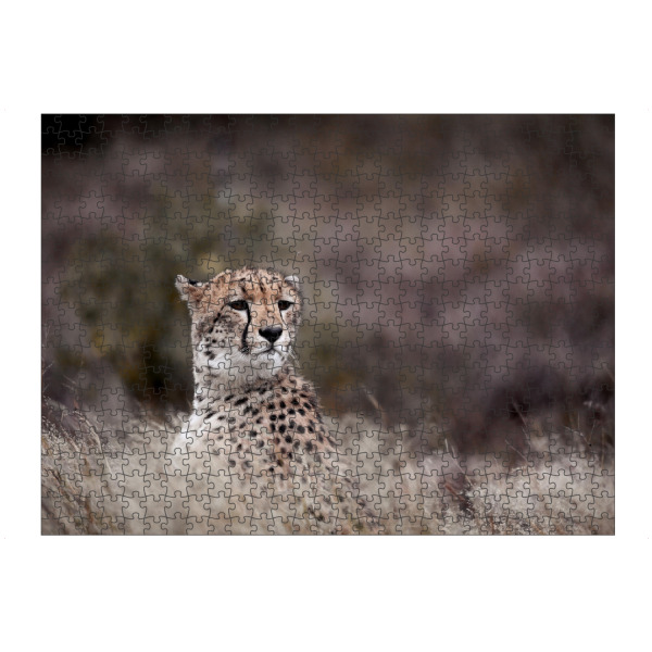 Puzzle Ravensburger "Hanging around" artboxONE - Natur,Tiere