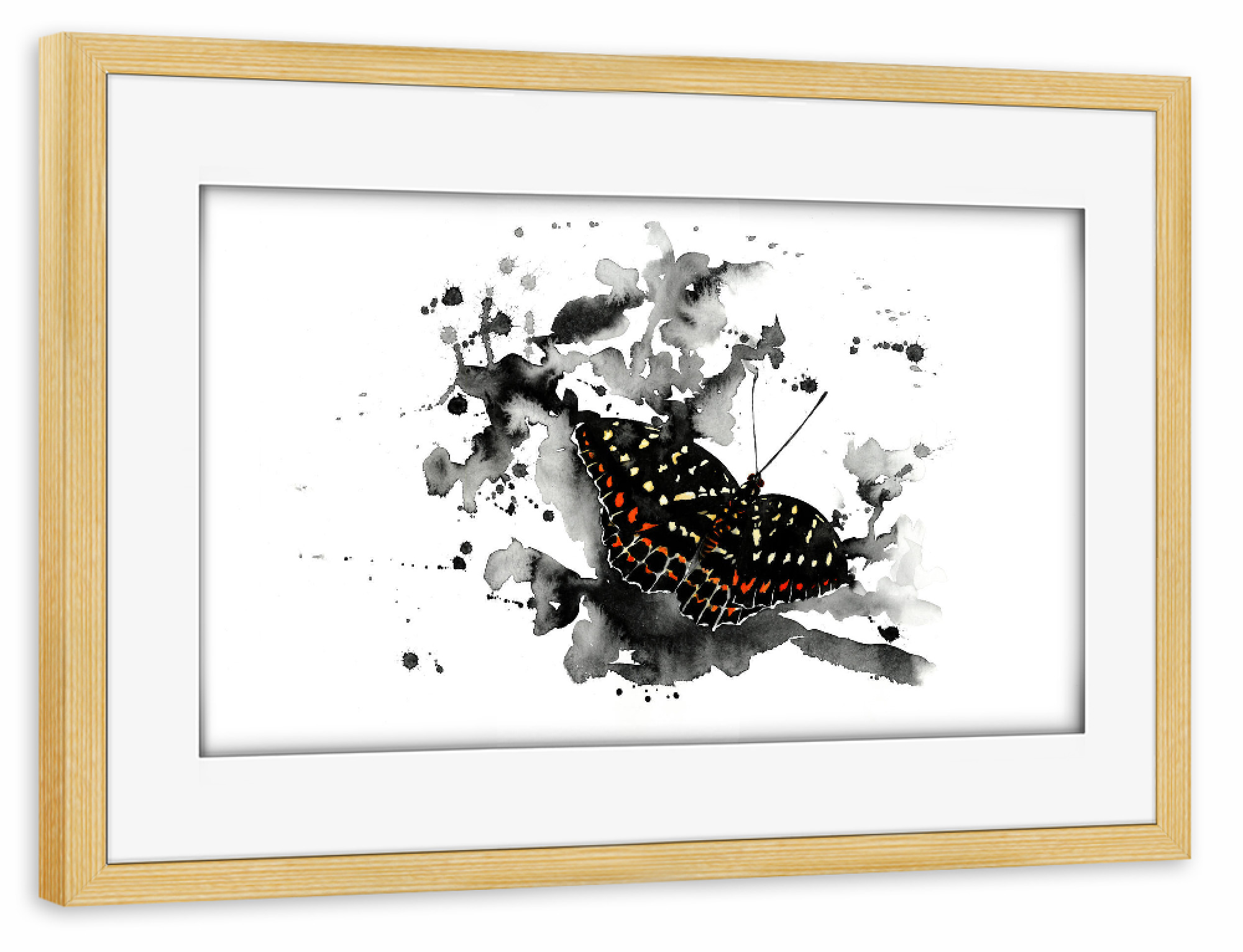 Poster mit Rahmen kiefer "Wildlife Falter" artboxONE - Natur,Tiere