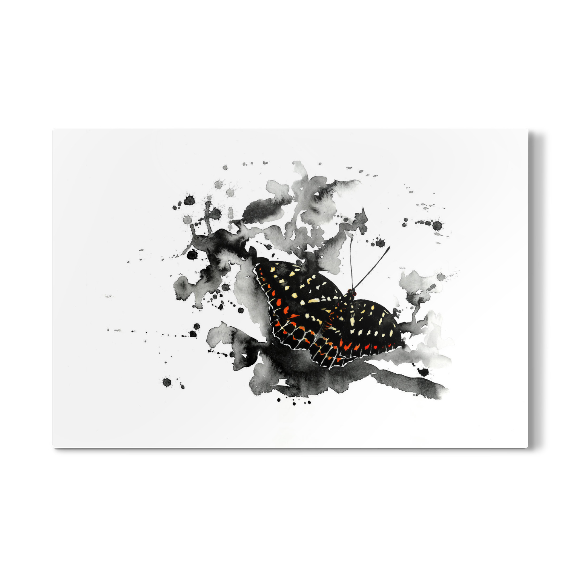 Galerie-Print "Wildlife Falter" 30x20 cm artboxONE