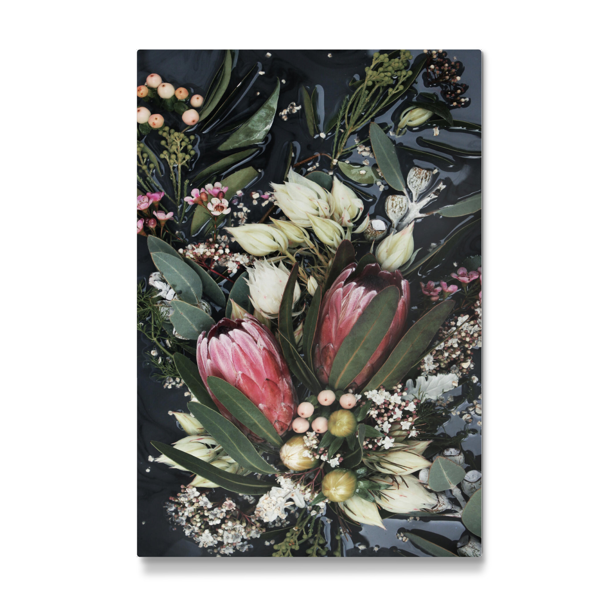 Galerie-Print "Black Protea Foral Photo" 75x50 cm artboxONE
