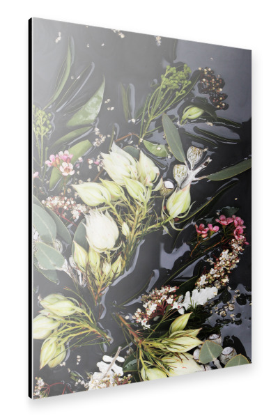 Alu-Dibond "Black Native Botanical Art" 30x20 cm artboxONE