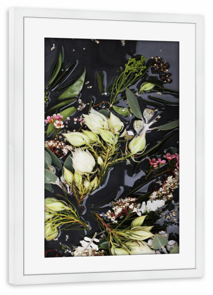 Poster mit Rahmen weiß "Black Native Botanical Art" artboxONE - Natur,Floral,Abstrakt