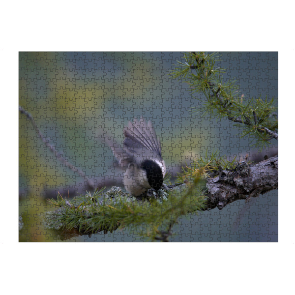 Puzzle Ravensburger "Take-off" artboxONE - Natur,Tiere