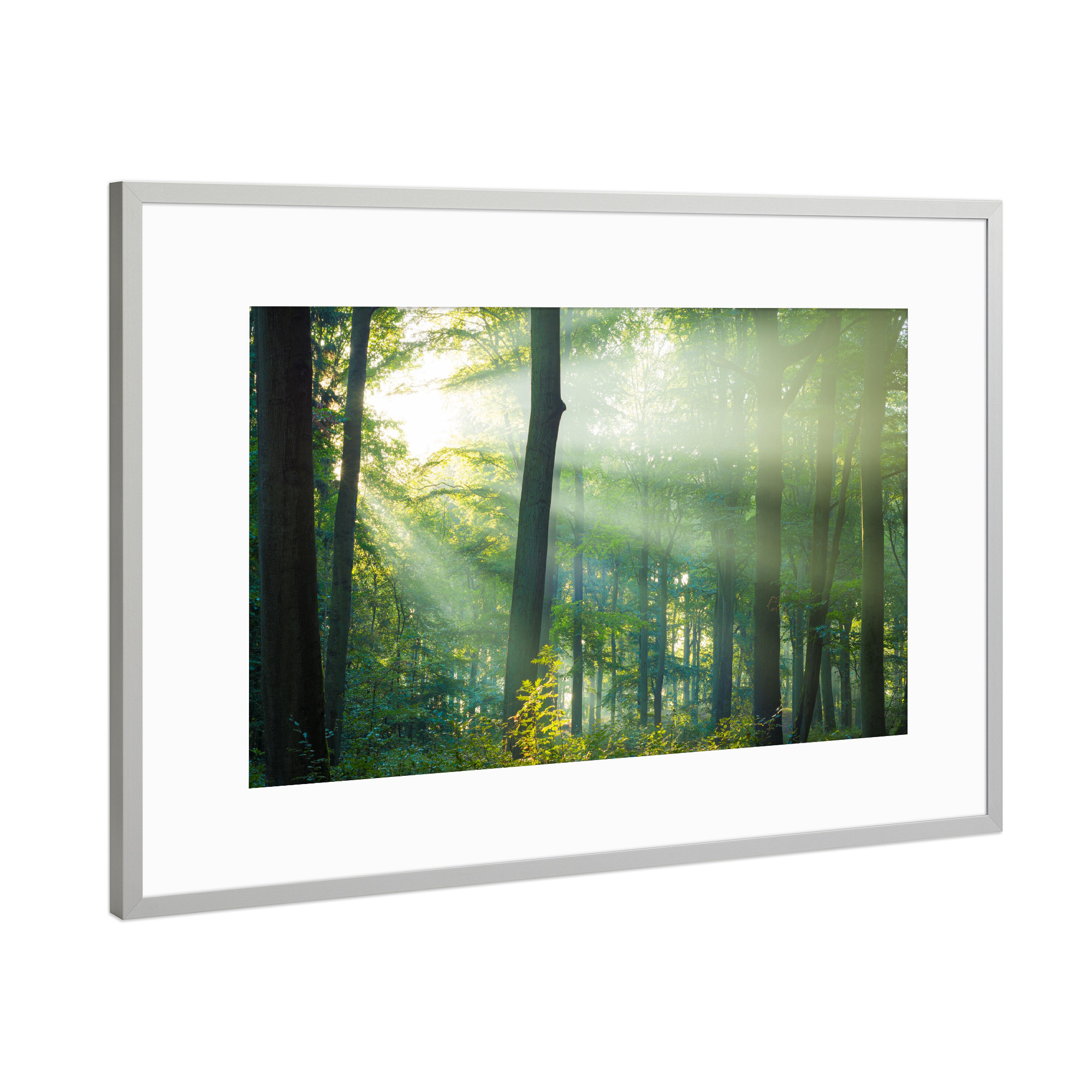Poster mit Rahmen Silber "Licht im Wald" artboxONE - Natur