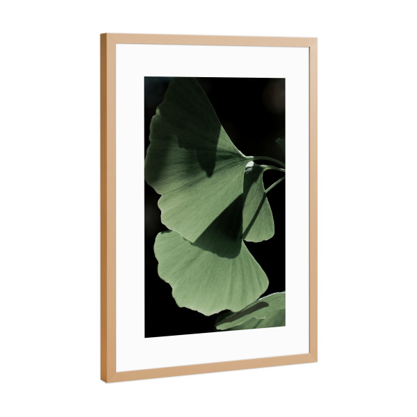 Poster mit Rahmen Kupfer "Ginko no.Three" artboxONE - Natur,Floral - Froilein juno,Botanical,Pflanze,Palme,Blatt,Blätter,Natur,Foto