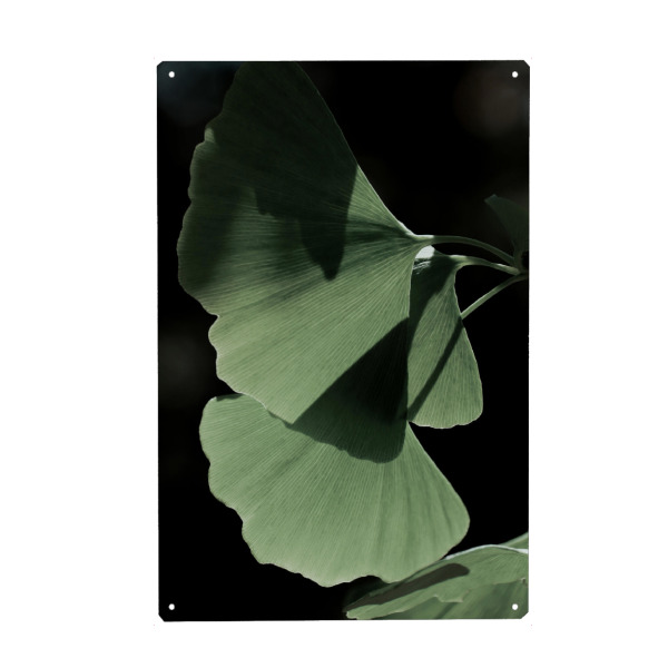 Holzbild "Ginko no.Three" artboxONE - Natur,Floral - Froilein juno,Botanical,Pflanze,Palme,Blatt,Blätter,Natur,Foto