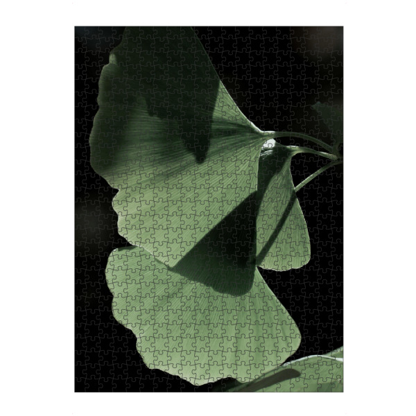 artboxONE Puzzle "Ginko no.Three" artboxONE - Natur,Floral - Froilein juno,Botanical,Pflanze,Palme,Blatt,Blätter,Natur,Foto - Bild froilein juno