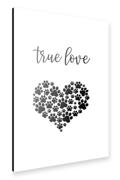 Alu-Dibond "Wahre Liebe - Hund" 30x20 cm artboxONE