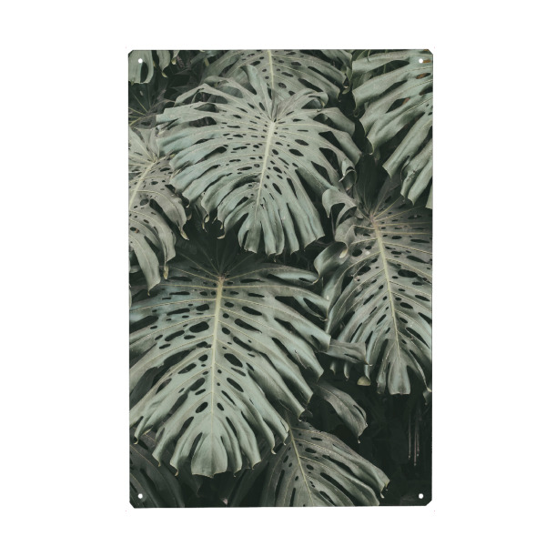 Holzbild "Green Monstera Leaves" artboxONE - Natur,Floral