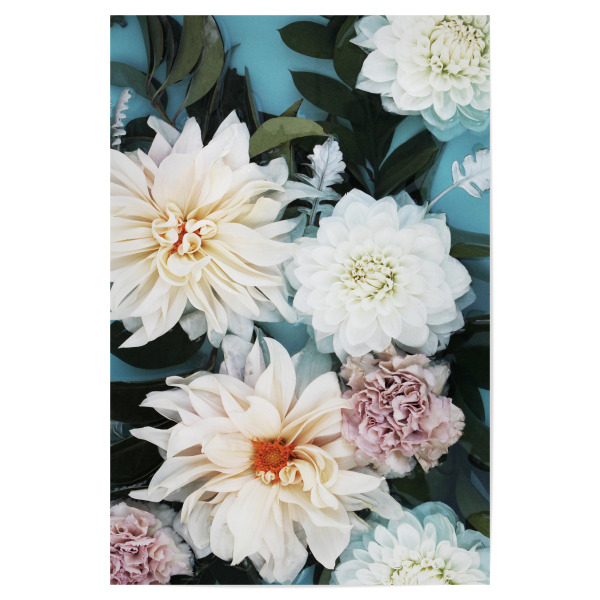 Poster "Elegant Dahlia Flowers" artboxONE - Natur,Floral,Für Mama