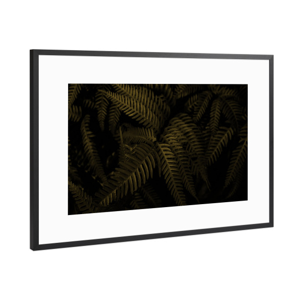 Poster mit Rahmen Schwarz (Metallic) "Farn gold" artboxONE - Natur,Floral - Farn,Pflanze,Botanischer garten,Botanical,Green,Leaves,Blätter
