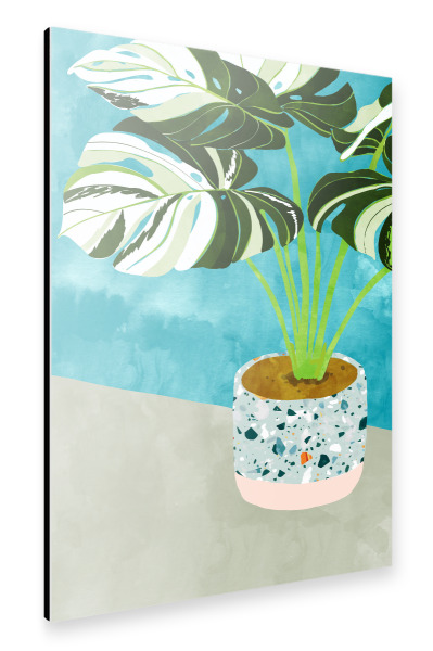Alu-Dibond "Variegated Monstera" 30x20 cm artboxONE