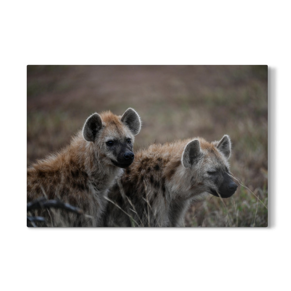 Galerie-Print "Brotherly Love" 30x20 cm artboxONE