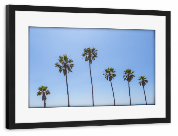 Poster mit Rahmen schwarz "Palmen am Meer" artboxONE - Natur,Reise / Strand und Meer
