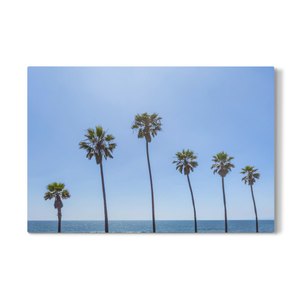 Galerie-Print "Palmen am Meer" 30x20 cm artboxONE