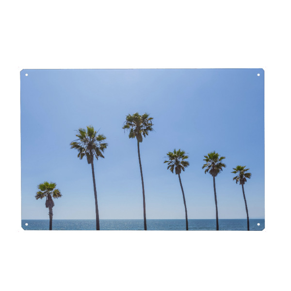 Holzbild "Palmen am Meer" artboxONE - Natur,Reise / Strand und Meer