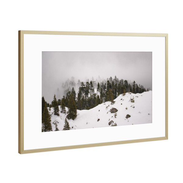 Poster mit Rahmen Gold "Misty Pines" artboxONE - Natur