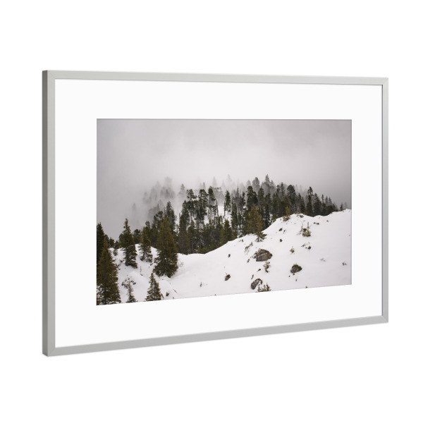 Poster mit Rahmen Silber "Misty Pines" artboxONE - Natur
