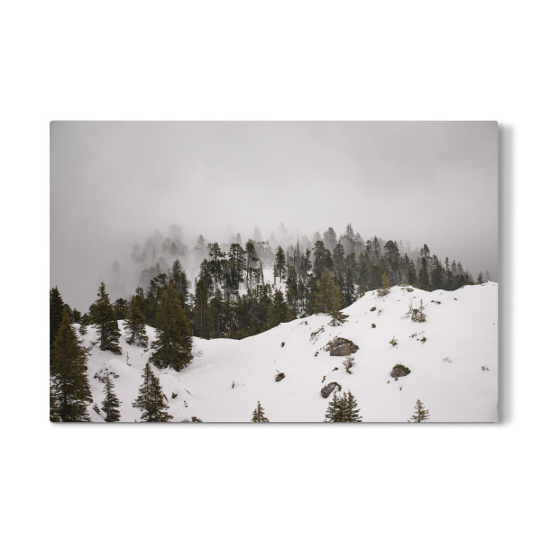 Galerie-Print "Misty Pines" 30x20 cm artboxONE