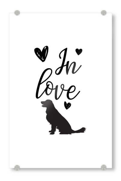 Acrylglasbild "Hundeliebe mit Herz" artboxONE - Typografie,Tiere,Schwarzweiß