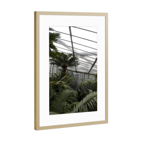 Poster mit Rahmen Gold "Botanical Feelings" artboxONE - Natur,Floral