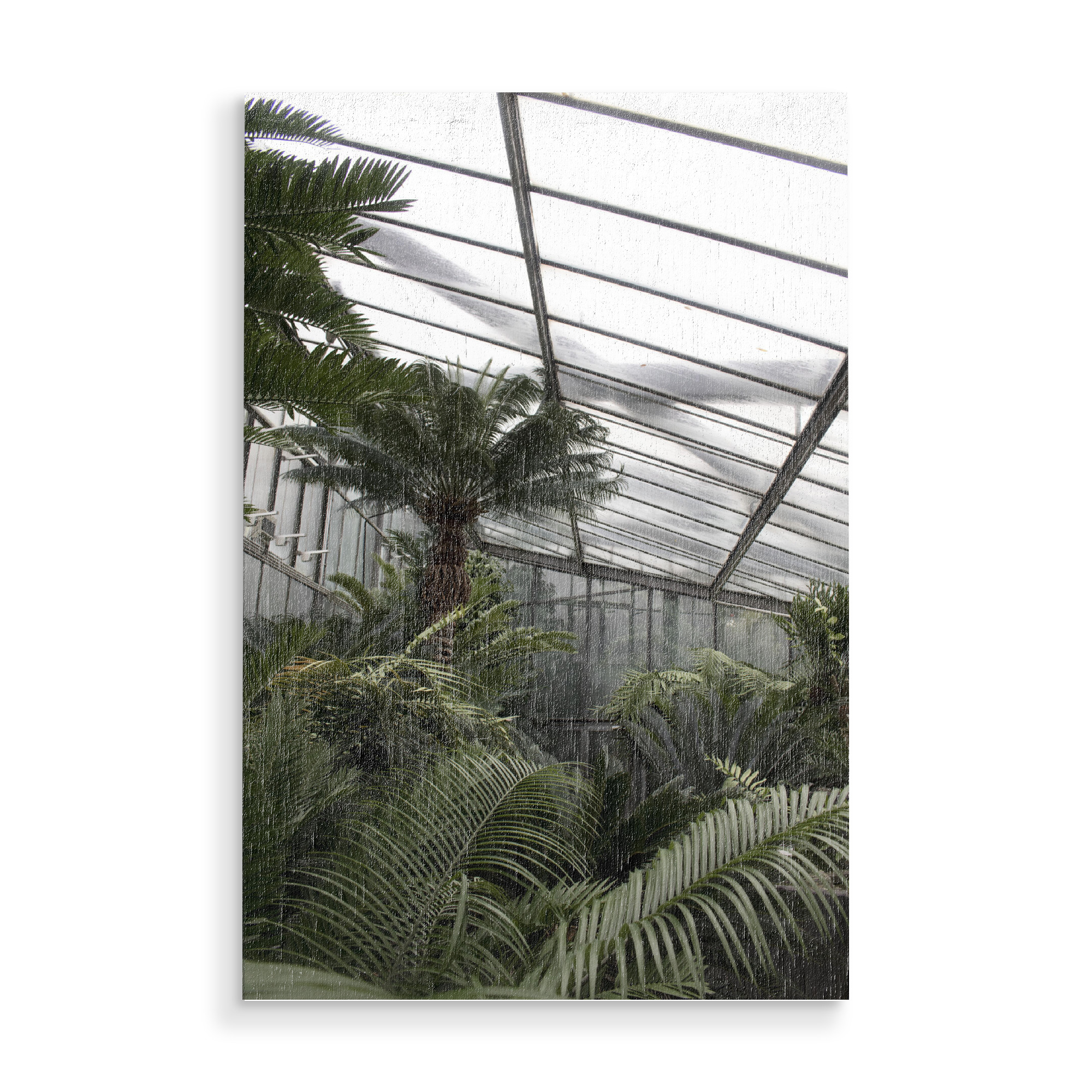 Holzbild "Botanical Feelings" artboxONE - Natur,Floral