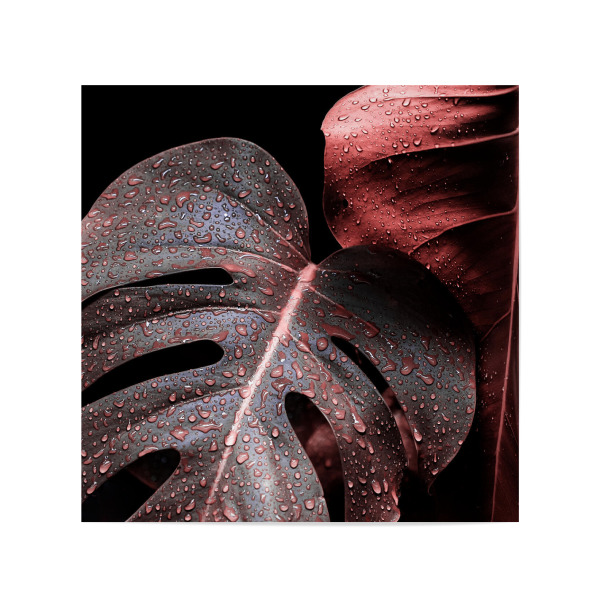 Poster 20x20 cm "Impacto Color" artboxONE - Natur,Floral