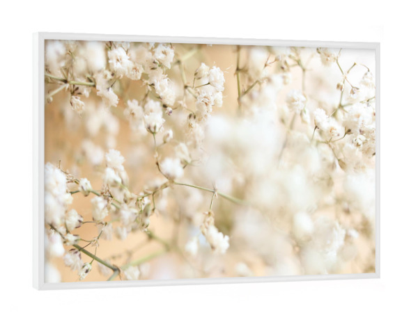 Poster mit weißem Rahmen "Schleierkraut" artboxONE - Natur,Floral - Schleierkraut,Verträumt,Weißbeige,Nude,Nature,Zarteblumen,Natur,Blume,Flower