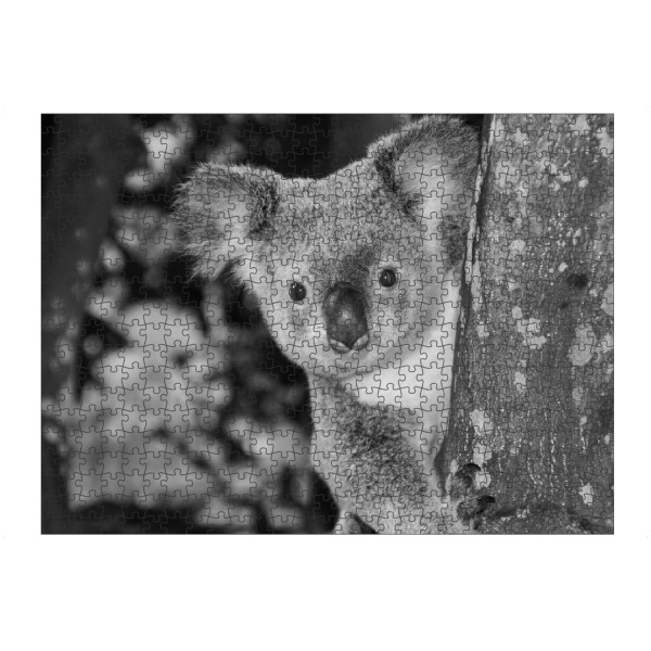 artboxONE Puzzle "Neugieriger Kuala Bär im Baum" artboxONE - Natur,Für Kinder,Tiere,Schwarzweiß