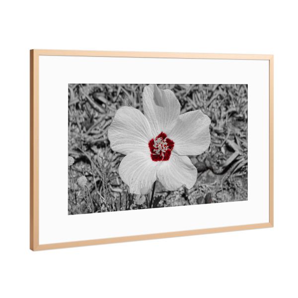 Poster mit Rahmen Kupfer "Blümchen auf unserer Welt" artboxONE - Natur,Floral,Abstrakt