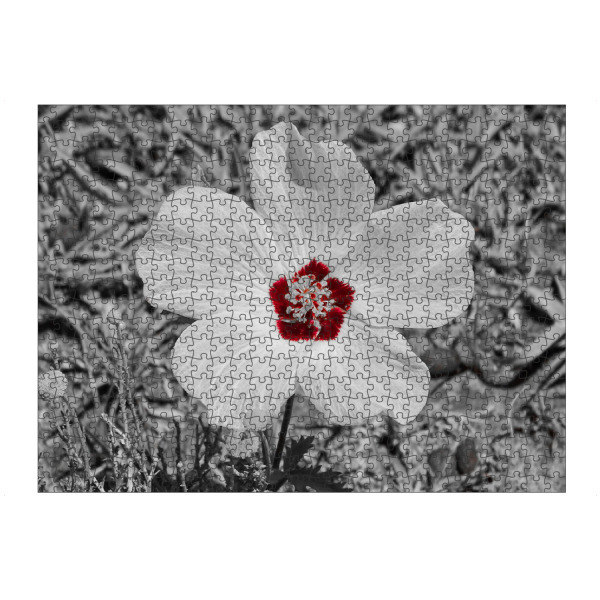 artboxONE Puzzle "Blümchen auf unserer Welt" artboxONE - Natur,Floral,Abstrakt