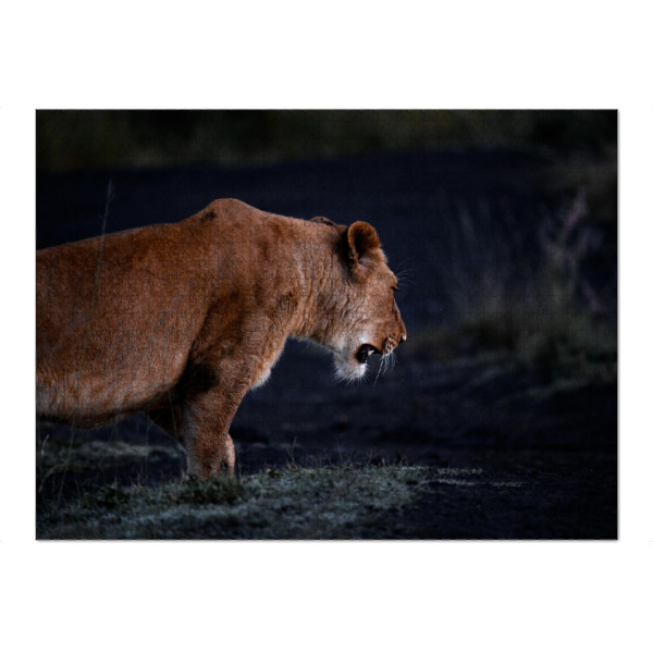 Puzzle Ravensburger "On the Prowl" artboxONE - Natur,Tiere