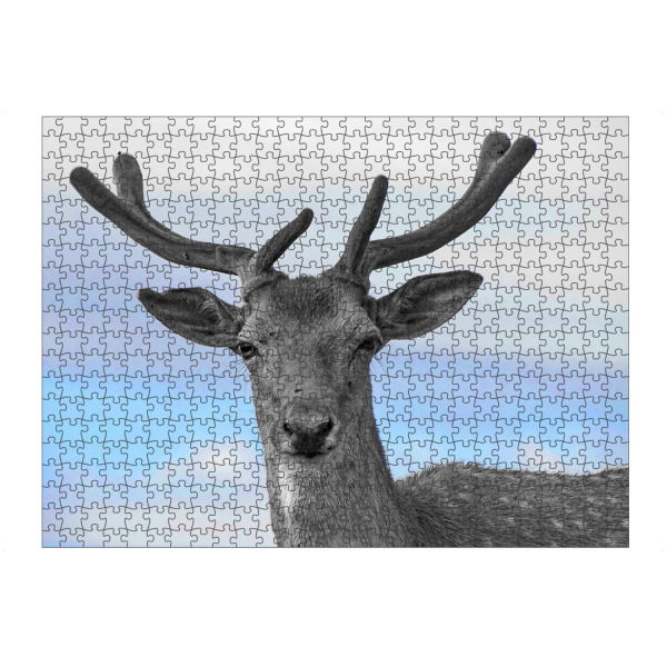 artboxONE Puzzle "Hirsch Portrait ck" artboxONE - Natur,Tiere - Hirsch,Colorkey,Tier,Geweih,Portrait,Deer,Animal,Nature,Natur,Wild,Closeup
