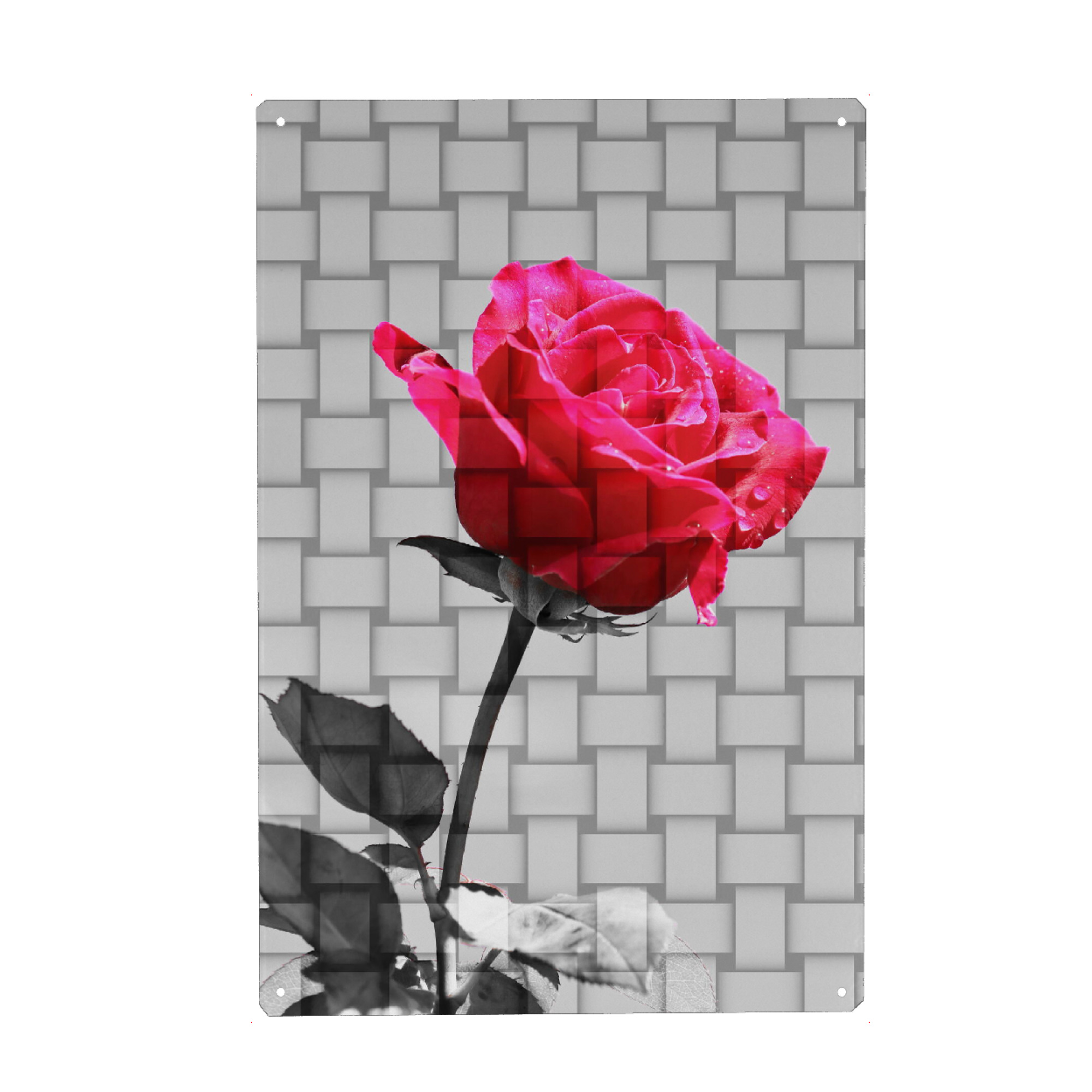 Metall Poster "Liebes Rose Valentines" artboxONE - Floral,Abstrakt,Liebe