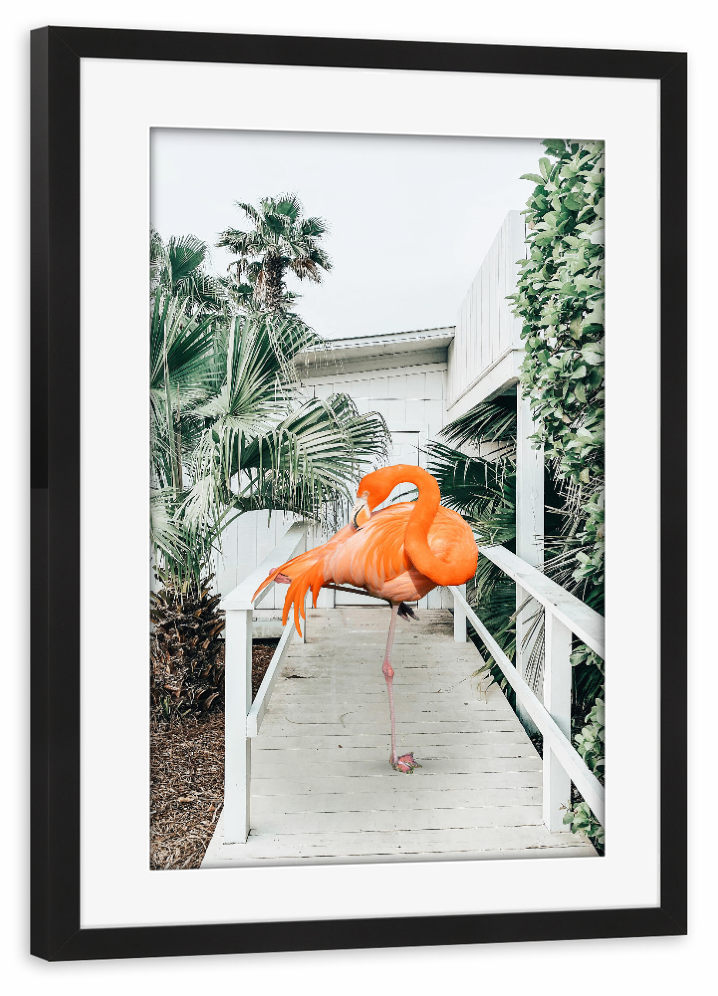Poster mit Rahmen schwarz "Flamingo Beach House" artboxONE - Natur,Tiere,Architektur