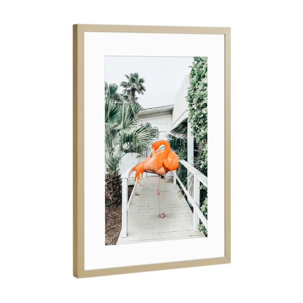 Poster mit Rahmen Gold "Flamingo Beach House" artboxONE - Natur,Tiere,Architektur