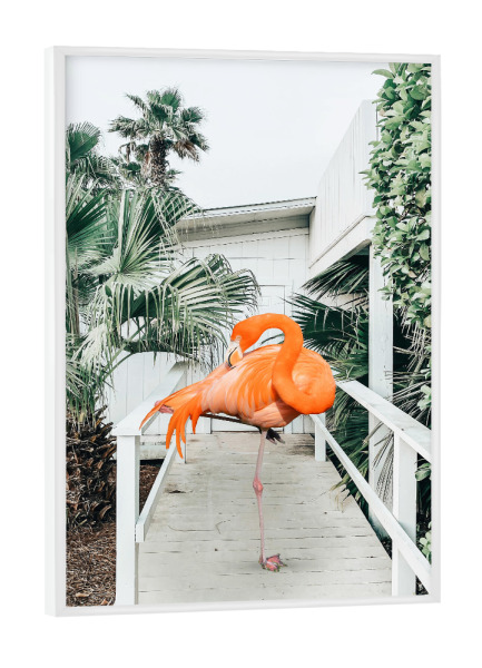 Poster mit weißem Rahmen "Flamingo Beach House" artboxONE - Natur,Tiere,Architektur