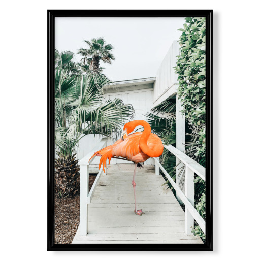 Flamingo Beach House