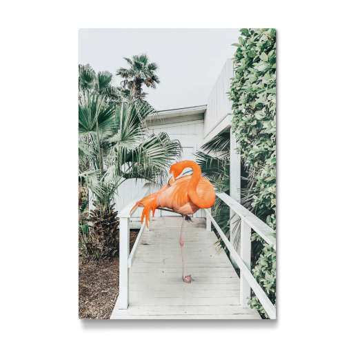 Flamingo Beach House