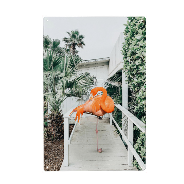 Metall Poster "Flamingo Beach House" artboxONE - Natur,Tiere,Architektur