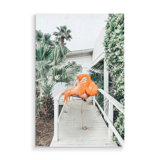 Flamingo Beach House