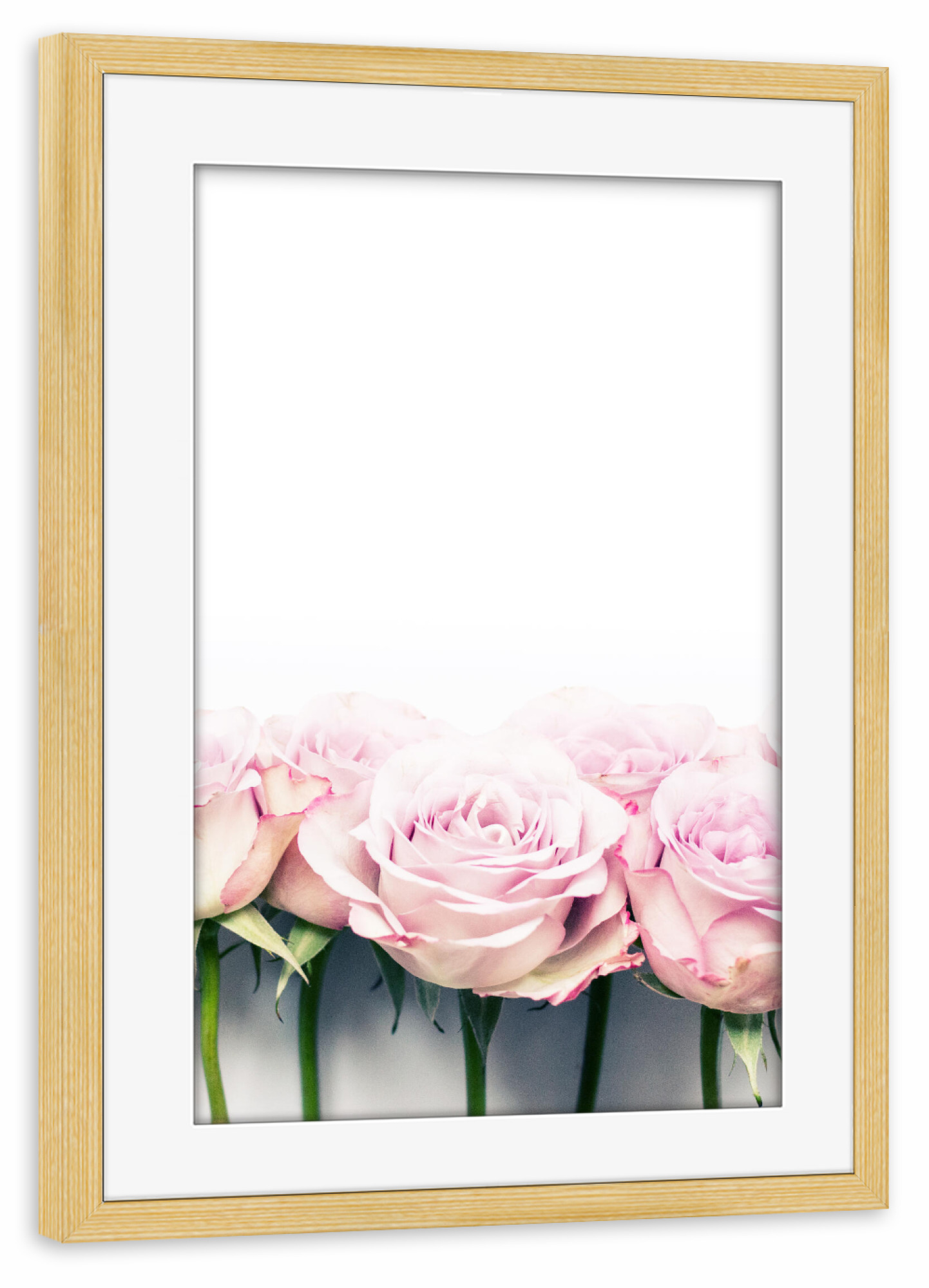 Poster mit Rahmen kiefer "Rosarote Rosen" artboxONE - Natur,Floral,Liebe
